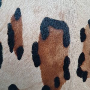 Protège passeport cuir pony hair léopard – Image 5